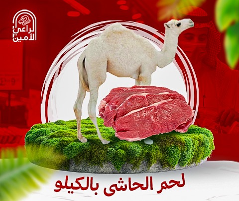 5 كيلو لحم حاشي